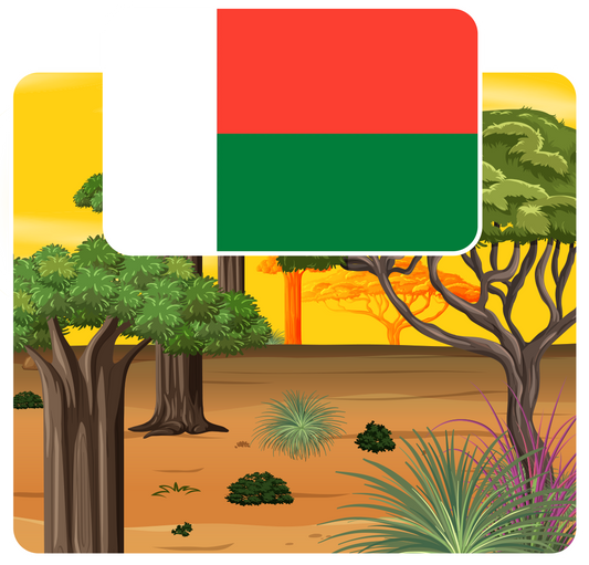 eSIM Madagascar