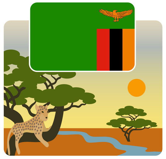 eSIM Zambia